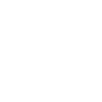 Die Digitalisierungsagentur 4locals macht wordpress Seiten